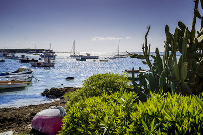 Boats moored at harbor against sky