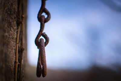 Close-up of metal door