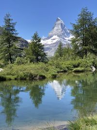 Scenic view of lake by trees against clear sky