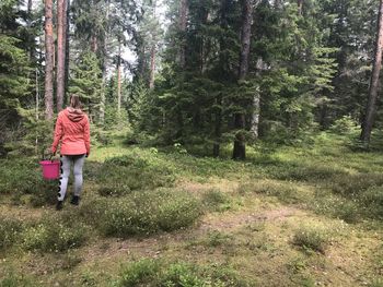 Rear view of woman walking in forest