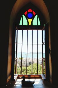 Trees seen through window of building