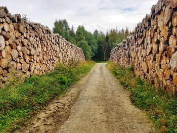 Road amidst trees on field against sky