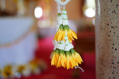 Close-up of yellow flower hanging against blurred background
