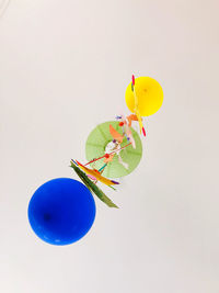 Close-up of multi colored balloons against white background