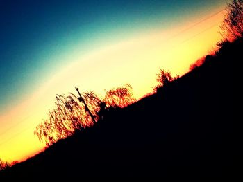 Silhouette of trees at sunset