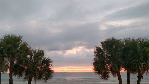 Silhouette of palm trees against cloudy sky