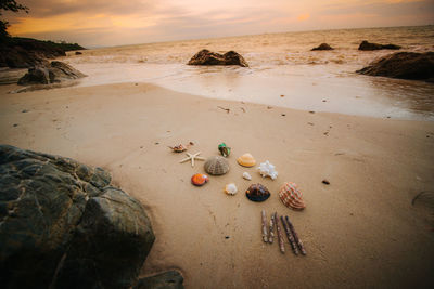 Scenic view of beach