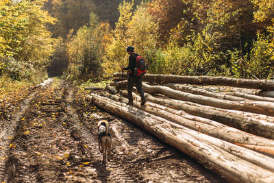 Man walking in forest during autumn