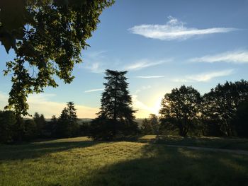 Scenic view of grassy field against sky