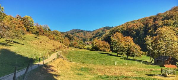 Scenic view of landscape against clear sky during autumn