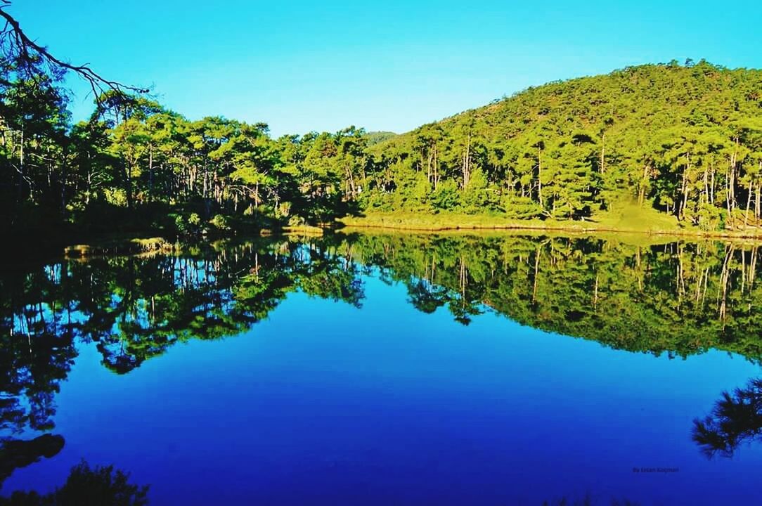 reflection, tranquil scene, tranquility, water, tree, scenics, lake, beauty in nature, clear sky, blue, standing water, nature, waterfront, idyllic, calm, growth, sky, majestic, no people, outdoors