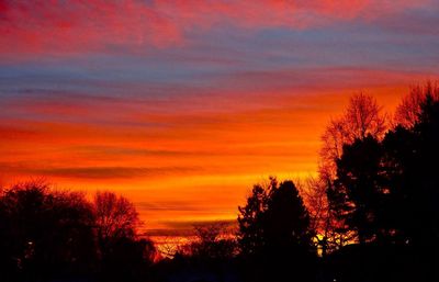 Silhouette of trees at sunset