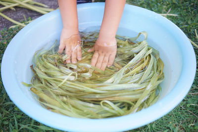 Ingredients for miyako johu made using traditional methods fiber is taken from ramie, a plant 