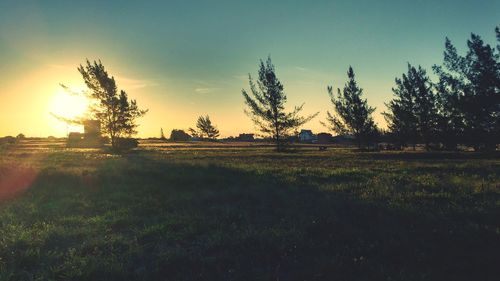 Scenic view of field against sky during sunset