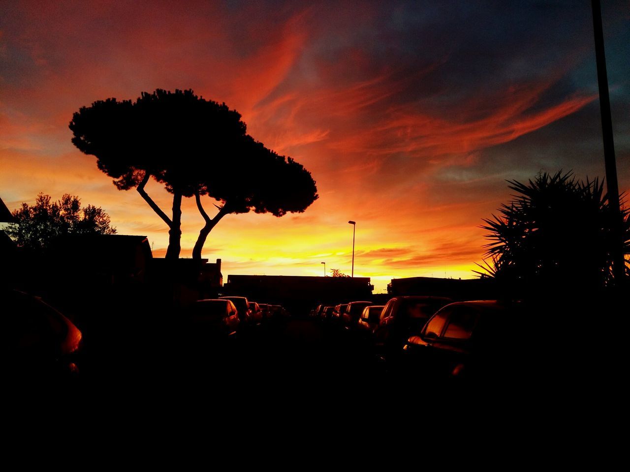 sunset, silhouette, sky, orange color, tree, cloud - sky, dramatic sky, palm tree, beauty in nature, dark, nature, scenics, dusk, tranquility, cloud, street light, tranquil scene, outline, building exterior, outdoors