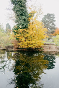 Trees by lake against sky during autumn