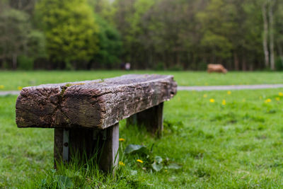 Close-up of wooden bench on field