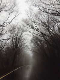 Road passing through forest