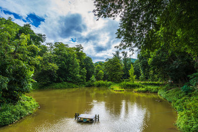 Scenic view of river in forest against sky