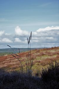 Scenic view of field against cloudy sky