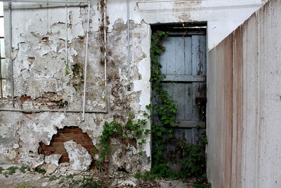 Damaged door of abandoned house