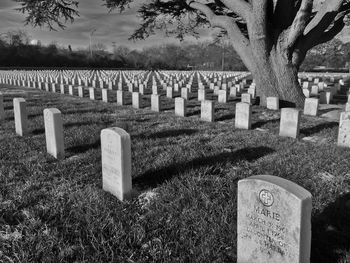 Tombstones on grassy field