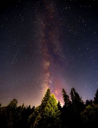 Low angle view of trees against star field