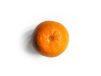 High angle view of orange on white background