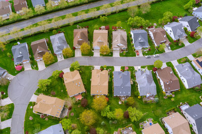 High angle view of plants and trees in city