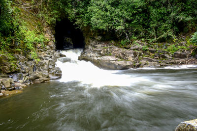 Scenic view of waterfall in forest