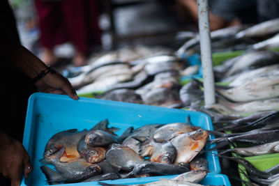 Fresh fish sold in the traditional market in surabaya, indonesia.