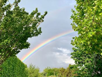 Low angle view of rainbow against sky