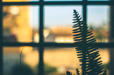 Close-up of window against sky