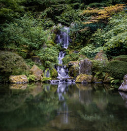 Scenic view of waterfall in forest