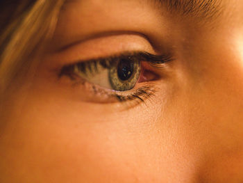 Close-up portrait of human eye