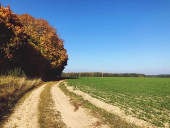 Road amidst trees on field against clear blue sky