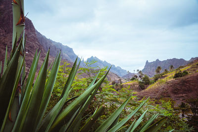 Scenic view of mountains against sky