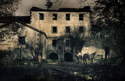 View of an abandoned building