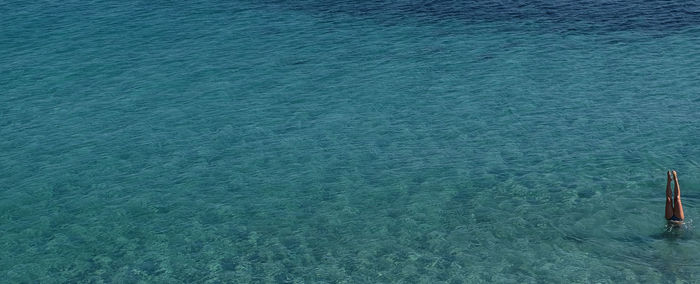 High angle view of swimming pool