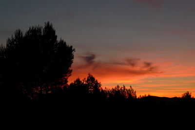 Silhouette trees against sky during sunset