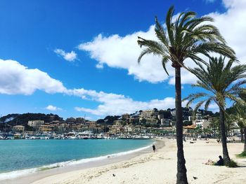 Palm trees on beach against sky