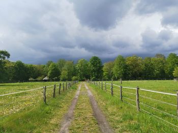 Scenic view of trees on field against sky