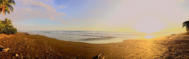 Scenic view of beach against sky during sunset