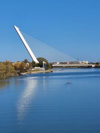 Bridge and river with rower in kayak about to.pass the alamillo bridge in seville