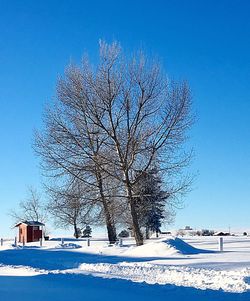 Bare tree against clear blue sky during winter