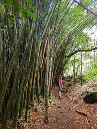Man walking in forest