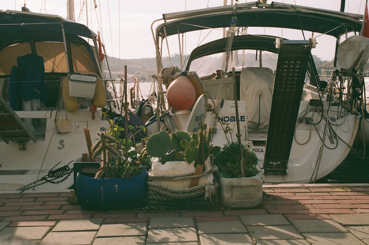 POTTED PLANTS HANGING ON STREET AGAINST BUILT STRUCTURES