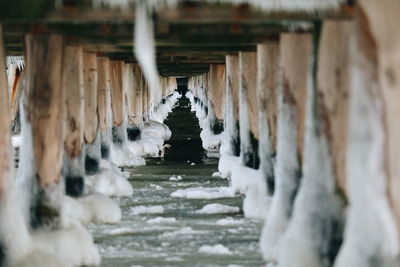 Frozen columns of pier