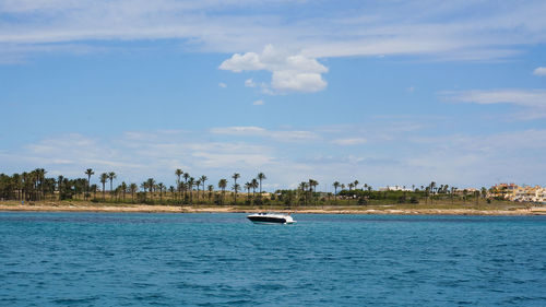 Sailboats in sea against sky