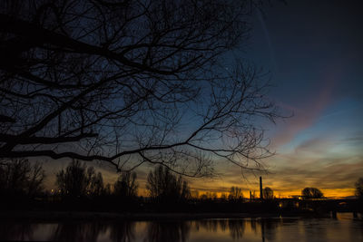 Silhouette of bare trees at sunset